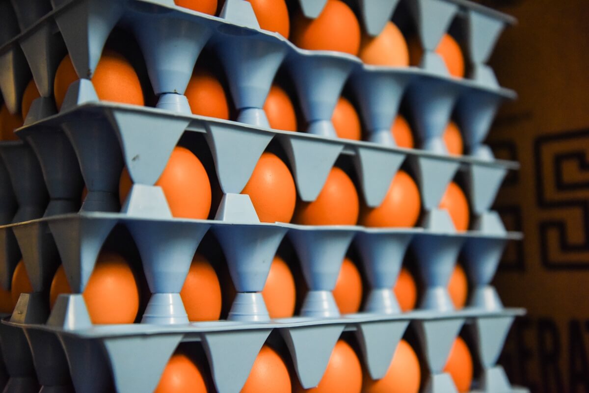 Washed vs Unwashed Eggs What's the bloomin' difference?